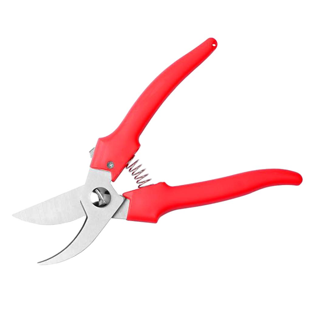 Garden Scissor