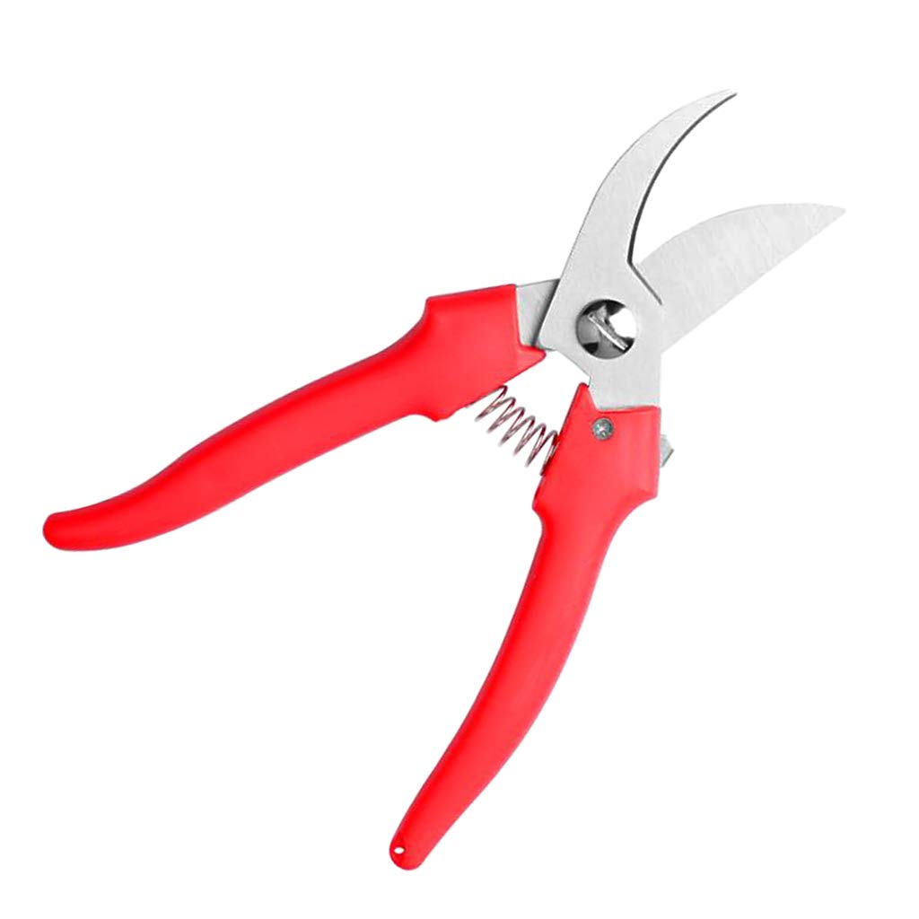 Garden Scissor