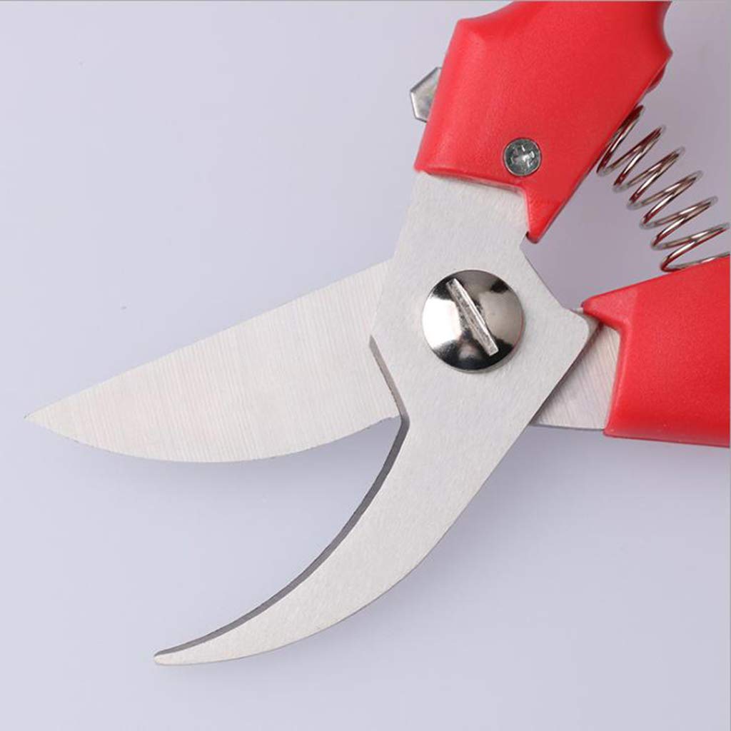 Garden Scissor